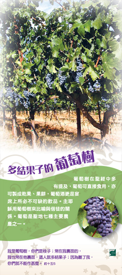 plant_bookmark_grapes.jpg