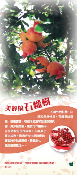 plant_bookmark_pomegranates.jpg